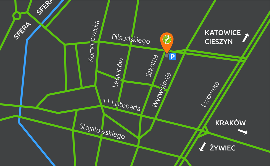 Mapa dojazdu do Lizard Media